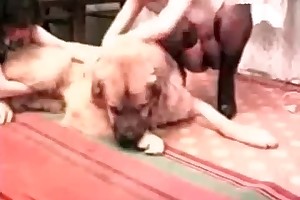 animal sex in asia movies