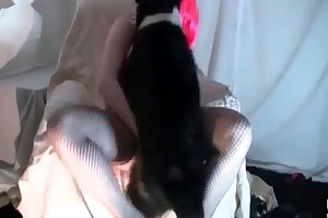 nice blonde fucking with dog videos