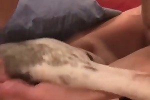 beastiality social porn