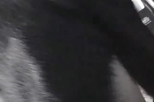 celebrity0beastiality sex stories videos