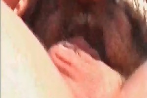 video of two animals having sex