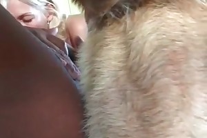 male beast fucking videos