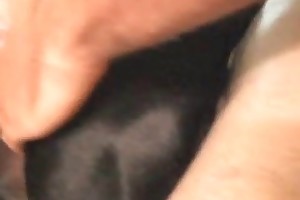 sex with animals zootube365 movies