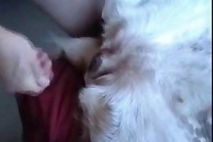 animal/woman sex stories movies