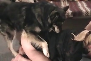 kinky animal sex videos