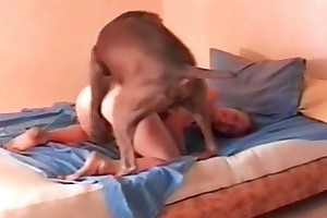 lesbian sex animals porn movies