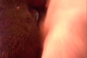 bestiality amateur video share