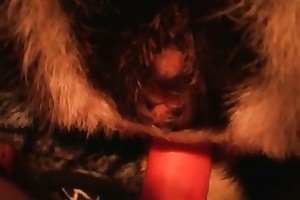 sex with animals sites free porn