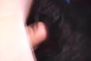 animal cums in condom free porn