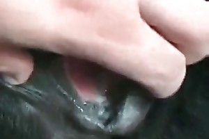 horse and man beastiality porn videos