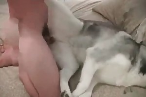 bestiality footjob free porn
