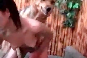 busty hotty suck horsespenis movies