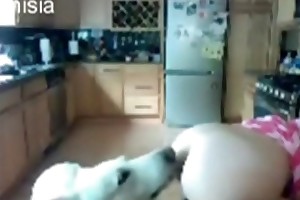 is beastiality zoophilia right