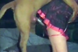 girls who have sex with animals movies