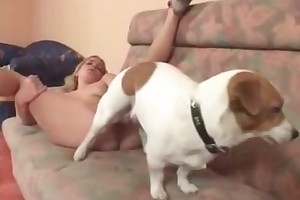 bestiality pix videos