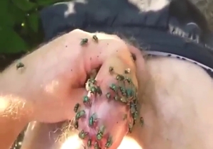 Guy wants to see how flies cover his FULL cock