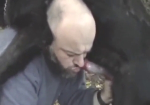 Dude wants to fuck a dog, he jacks that dick