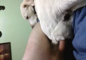 Hot scene showing a sexy dog seducing in POV