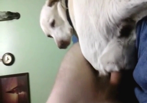 Hot scene showing a sexy dog seducing in POV