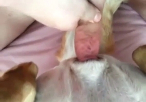 Dude is going to tear into a sexy animal here