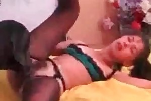 humans who have sex with animals porn videos