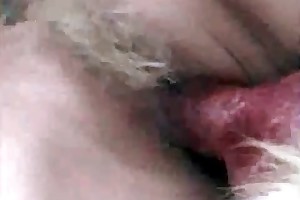 sexwomanandanimals porn videos
