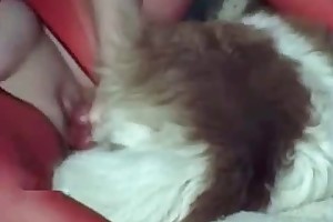 freeanimalsex net movies