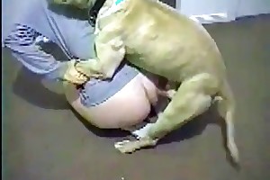 hot chick enjoyed by horse movies