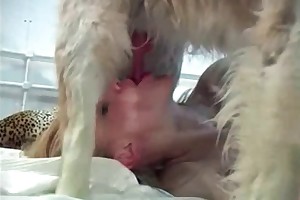 animals to man xxx porn videos