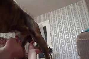 extremeanimalsex.blog.nl videos