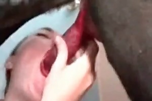 beauty and the beast sexy free porn