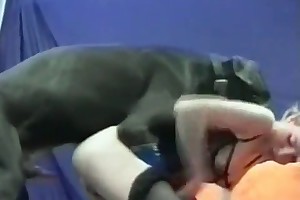 beastiality tube vids