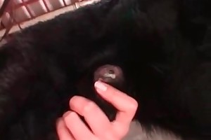 teenbeast free porn