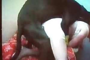 blonde fucking with dog free porn