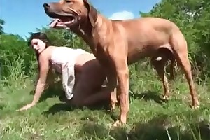 animalssex co movies