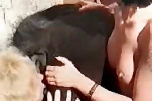 free teen bestiality videos movies
