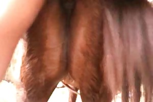 free beastly snake pics movies