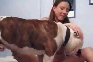 beastiality dog how to free porn