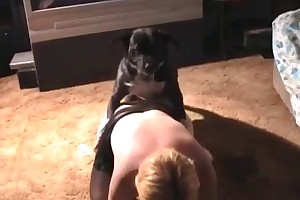 beast toplist porn movies