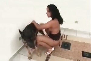 horses fucking beast tube