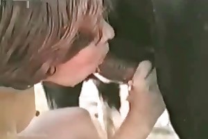 animal sex laws movies