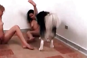 netherlands beast sex porn movies