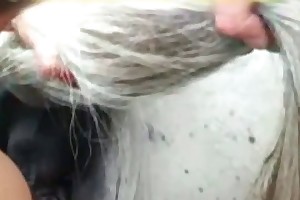 first time bestiality free porn