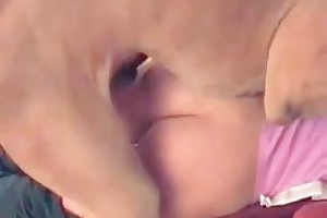 animalsex.spot/blog videos