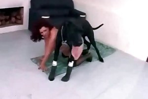 zoo porns videos
