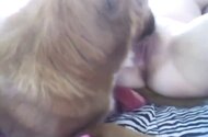 Anal Bestiality Tube