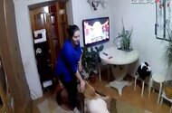 Pony bestiality porn